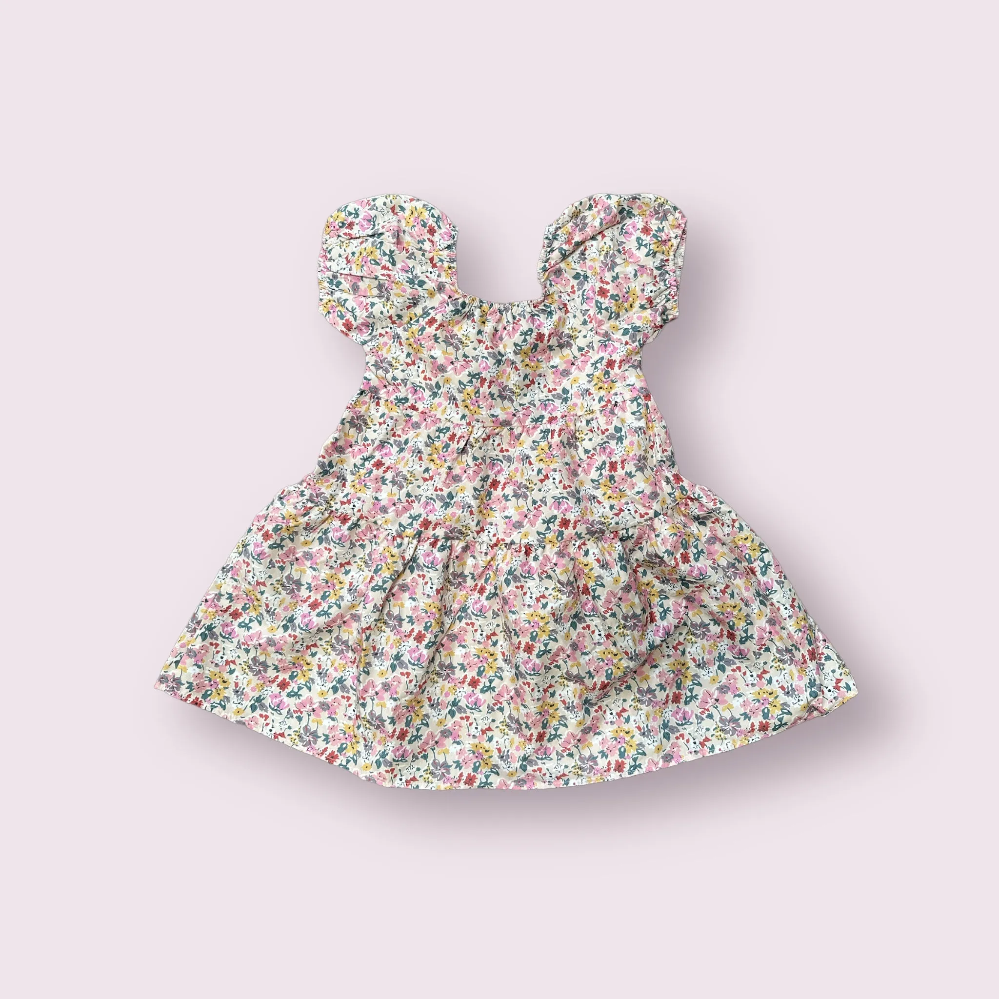 Emmy Water Color Floral Dress