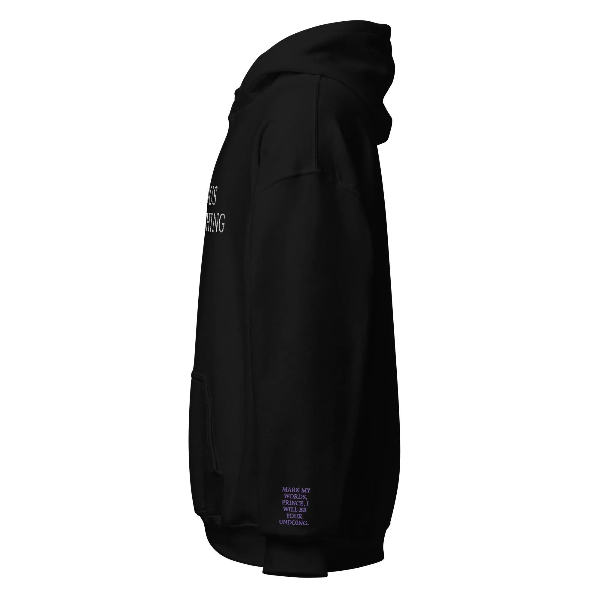 Vicious Little Thing Paedyn Gray Embroidered Hoodie