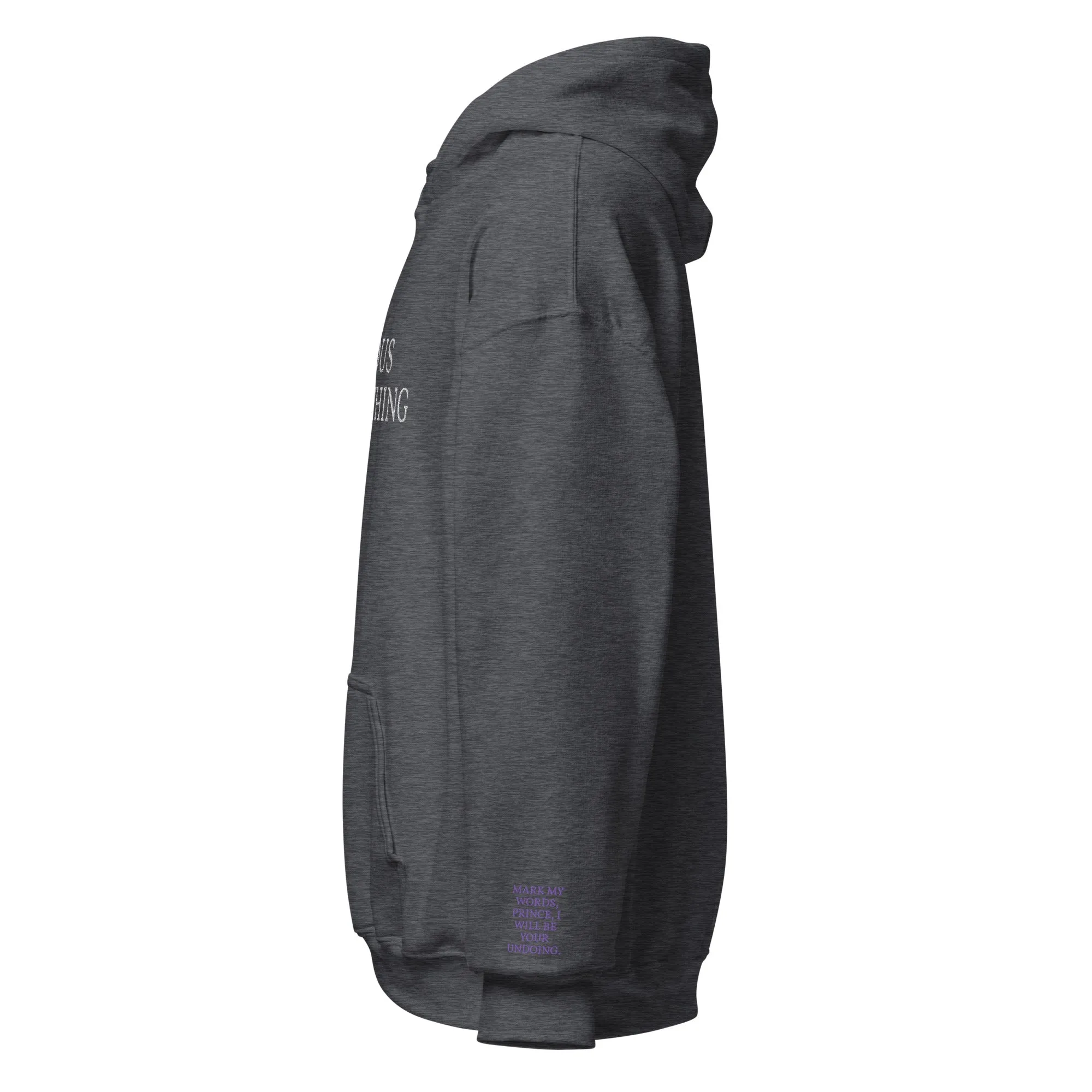 Vicious Little Thing Paedyn Gray Embroidered Hoodie